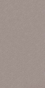 F58 Roman Silver Brown
