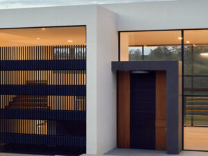 ENTRY DOORS